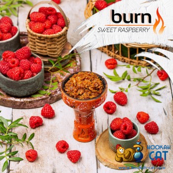 Заказать кальянный табак Burn Sweet Raspberry (Берн Малина) 25г онлайн с доставкой всей России - фото 1